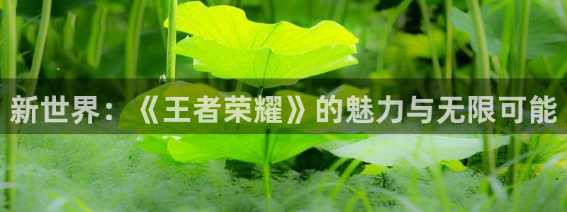 新世界：《王者荣耀》的魅力与无限可能