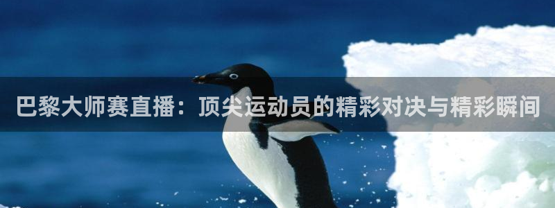 新足球直播在线直播观看免费直播吧手机版：巴黎大师赛直播：顶尖运动员的精彩对决与精彩瞬间