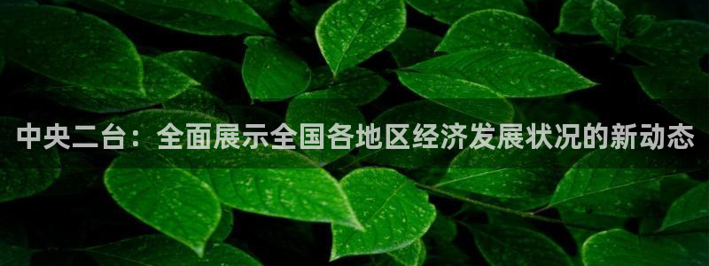nba直播吧无插件版飞速：中央二台：全面展示全国各地区经济发展状况的新动态